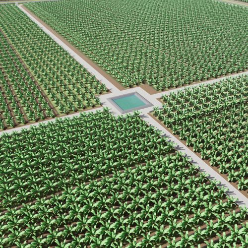 Cité Agricole « Farmer’s City » — Kétou (Bénin)